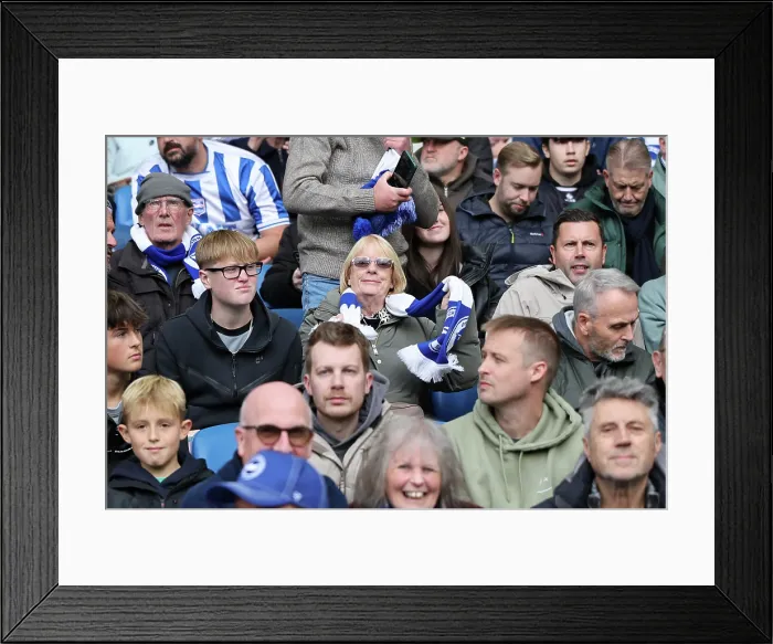Framed Print : Brighton and Hove Albion v Newcastle United Premier League 18OCT25 Framed Print : Brighton and Hove Albion v Newcastle United Premier League 18OCT25