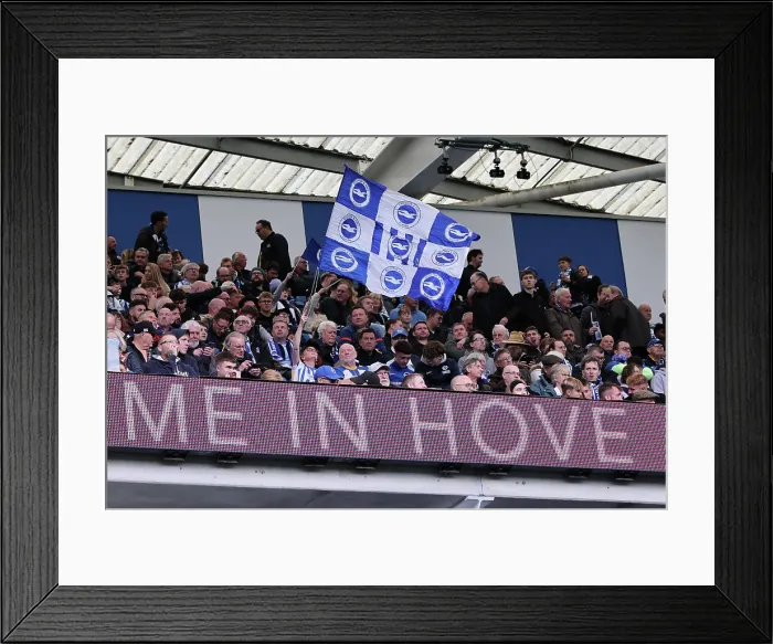 Framed Print : Brighton and Hove Albion v Newcastle United Premier League 18OCT25 Framed Print : Brighton and Hove Albion v Newcastle United Premier League 18OCT25