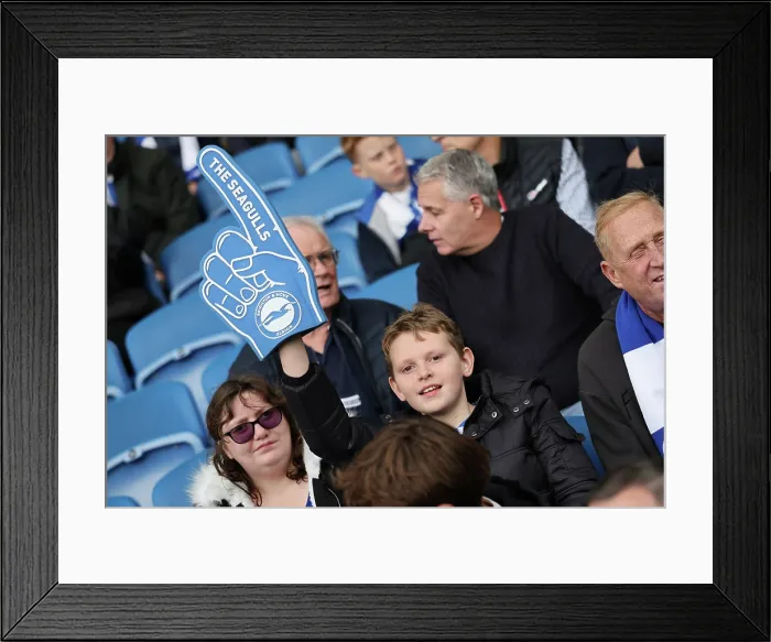Framed Print : Brighton and Hove Albion v Newcastle United Premier League 18OCT25 Framed Print : Brighton and Hove Albion v Newcastle United Premier League 18OCT25