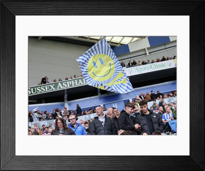 Framed Print : Brighton and Hove Albion v Newcastle United Premier League 18OCT25 Framed Print : Brighton and Hove Albion v Newcastle United Premier League 18OCT25
