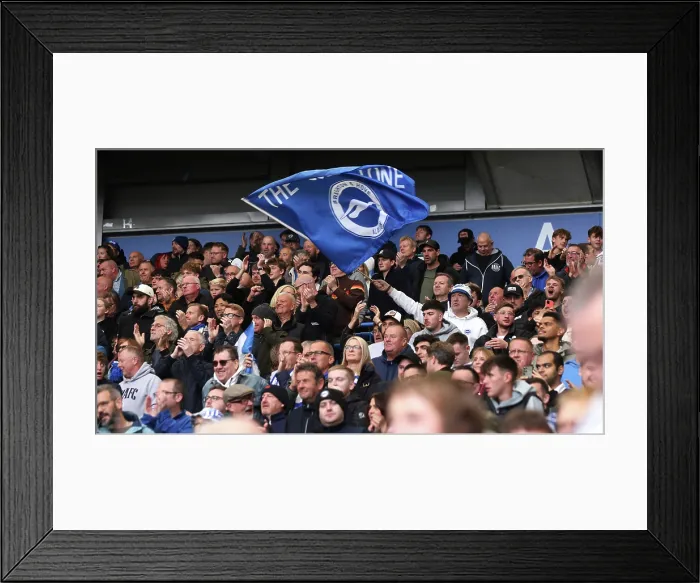 Framed Print : Brighton and Hove Albion v Newcastle United Premier League 18OCT25 Framed Print : Brighton and Hove Albion v Newcastle United Premier League 18OCT25