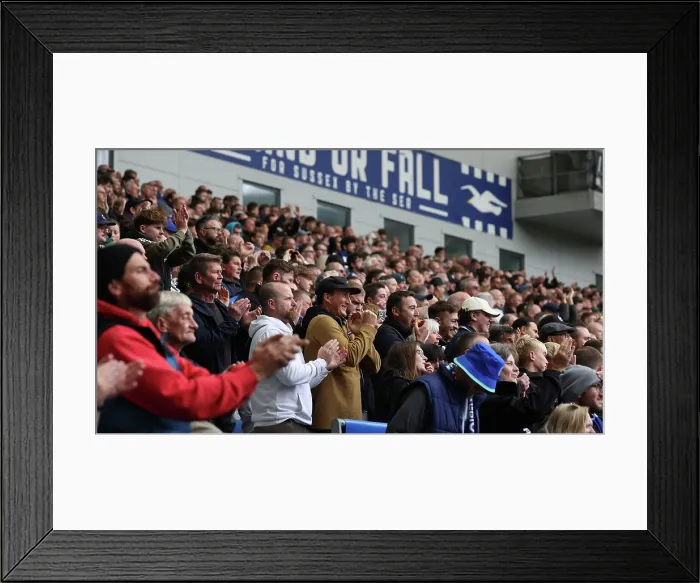 Framed Print : Brighton and Hove Albion v Newcastle United Premier League 18OCT25