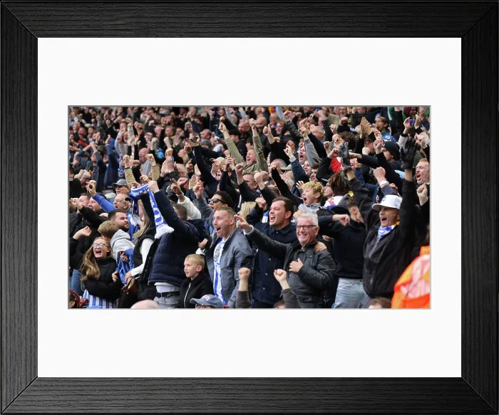 Framed Print : Brighton and Hove Albion v Newcastle United Premier League 18OCT25 Framed Print : Brighton and Hove Albion v Newcastle United Premier League 18OCT25