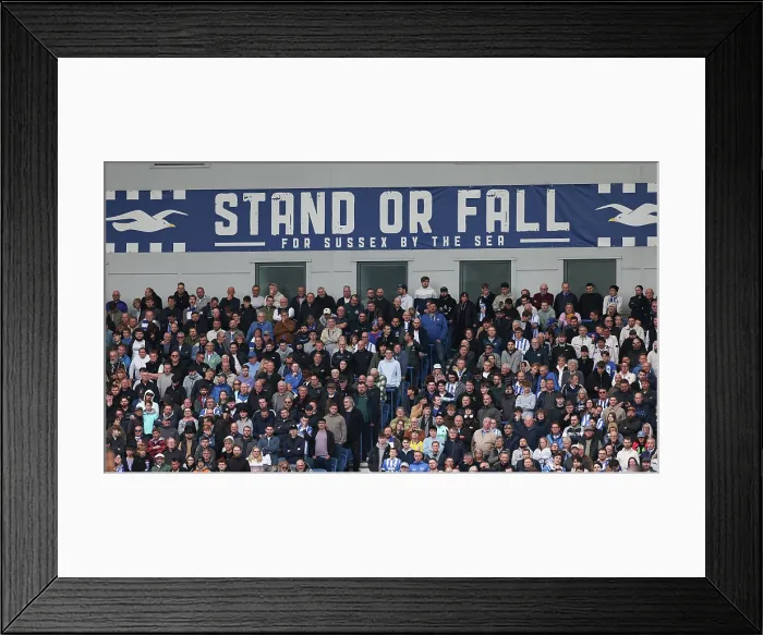 Framed Print : Brighton and Hove Albion v Newcastle United Premier League 18OCT25 Framed Print : Brighton and Hove Albion v Newcastle United Premier League 18OCT25