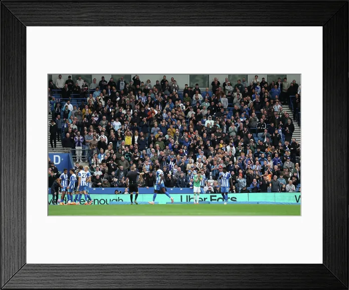 Framed Print : Brighton and Hove Albion v Newcastle United Premier League 18OCT25 Framed Print : Brighton and Hove Albion v Newcastle United Premier League 18OCT25