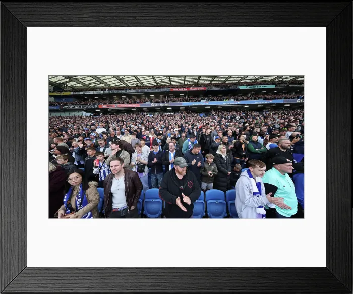 Framed Print : Brighton and Hove Albion v Newcastle United Premier League 18OCT25 Framed Print : Brighton and Hove Albion v Newcastle United Premier League 18OCT25
