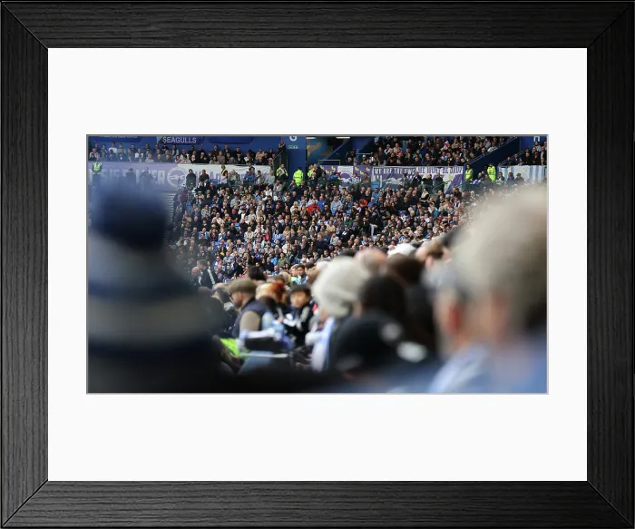 Framed Print : Brighton and Hove Albion v Newcastle United Premier League 18OCT25 Framed Print : Brighton and Hove Albion v Newcastle United Premier League 18OCT25