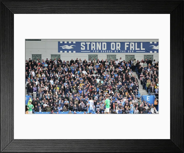 Framed Print : Brighton and Hove Albion v Newcastle United Premier League 18OCT25 Framed Print : Brighton and Hove Albion v Newcastle United Premier League 18OCT25