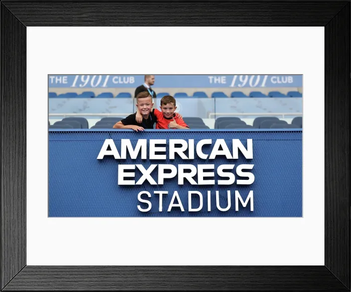 Framed Print : Brighton and Hove Albion v Newcastle United Premier League 18OCT25 Framed Print : Brighton and Hove Albion v Newcastle United Premier League 18OCT25