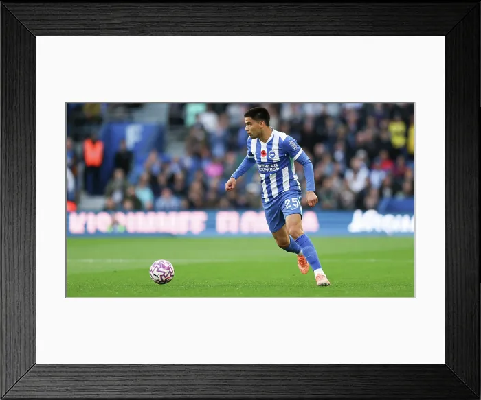 Framed Print : Brighton and Hove Albion v Leeds United Premier League 01NOV25 Framed Print : Brighton and Hove Albion v Leeds United Premier League 01NOV25