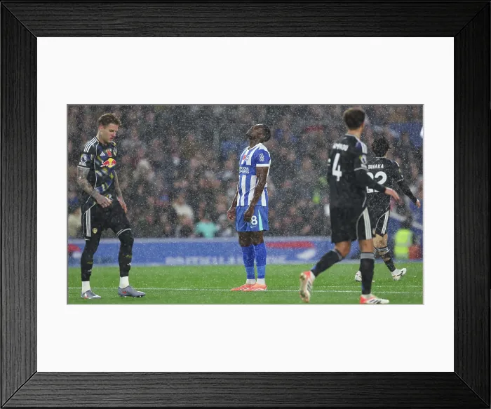 Framed Print : Brighton and Hove Albion v Leeds United Premier League 01NOV25 Framed Print : Brighton and Hove Albion v Leeds United Premier League 01NOV25