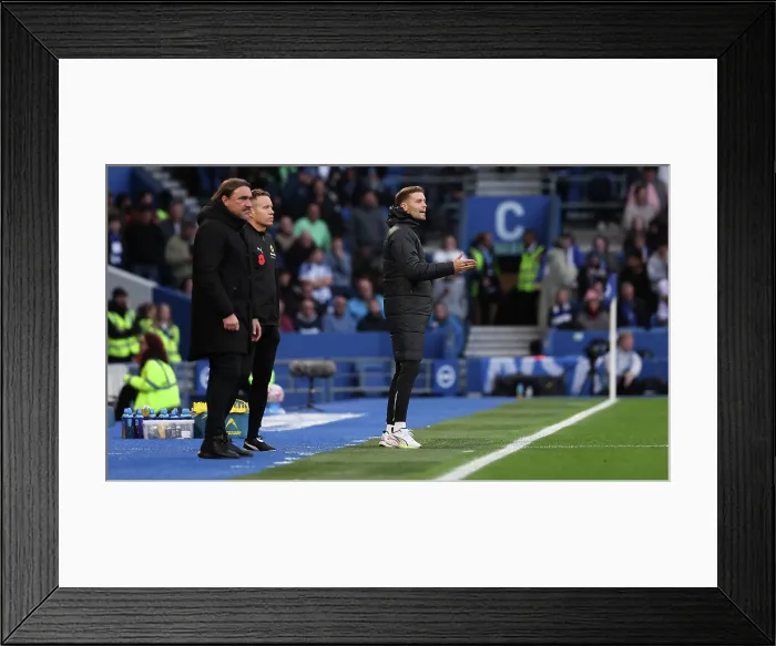 Framed Print : Brighton and Hove Albion v Leeds United Premier League 01NOV25 Framed Print : Brighton and Hove Albion v Leeds United Premier League 01NOV25