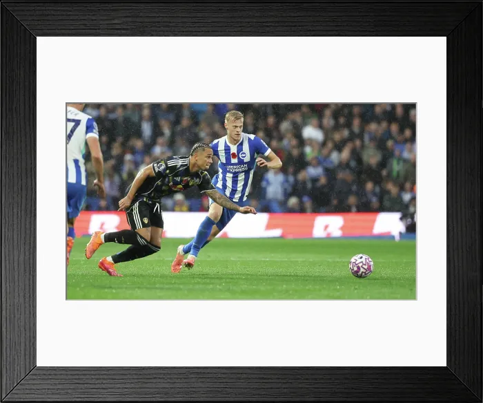 Framed Print : Brighton and Hove Albion v Leeds United Premier League 01NOV25 Framed Print : Brighton and Hove Albion v Leeds United Premier League 01NOV25