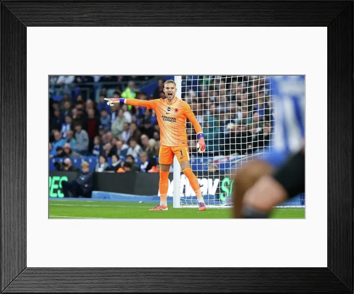 Framed Print : Brighton and Hove Albion v Leeds United Premier League 01NOV25 Framed Print : Brighton and Hove Albion v Leeds United Premier League 01NOV25
