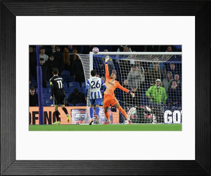 Framed Print : Brighton and Hove Albion v Leeds United Premier League 01NOV25 Framed Print : Brighton and Hove Albion v Leeds United Premier League 01NOV25