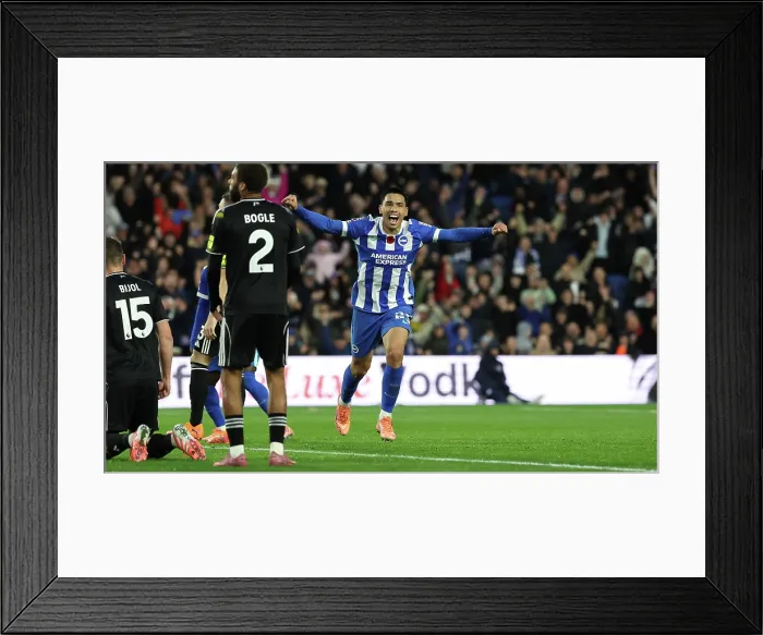 Framed Print : Brighton and Hove Albion v Leeds United Premier League 01NOV25