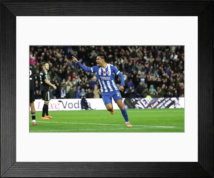 Framed Print : Brighton and Hove Albion v Leeds United Premier League 01NOV25