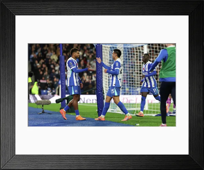 Framed Print : Brighton and Hove Albion v Leeds United Premier League 01NOV25