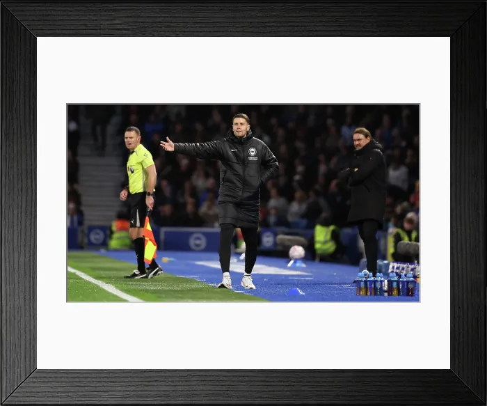 Framed Print : Brighton and Hove Albion v Leeds United Premier League 01NOV25 Framed Print : Brighton and Hove Albion v Leeds United Premier League 01NOV25