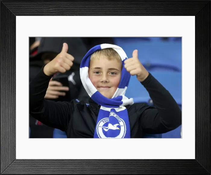 Framed Print : Brighton and Hove Albion v Leeds United Premier League 01NOV25