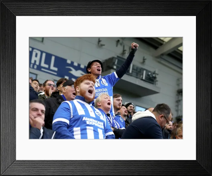 Framed Print : Brighton and Hove Albion v Leeds United Premier League 01NOV25