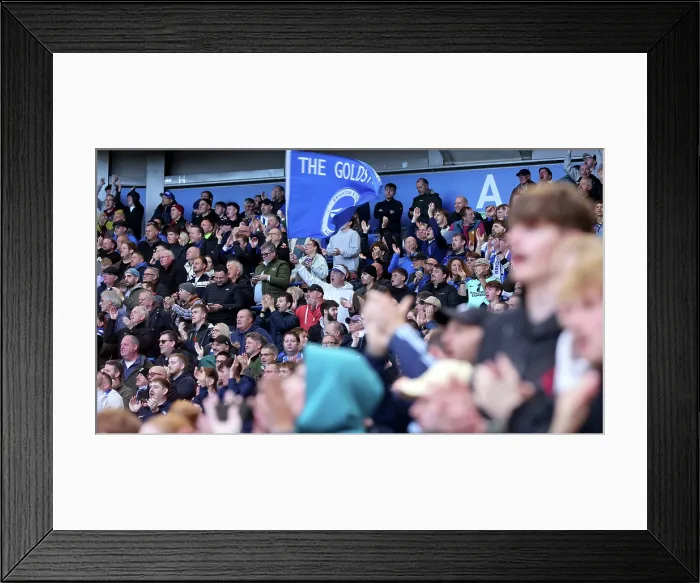 Framed Print : Brighton and Hove Albion v Leeds United Premier League 01NOV25