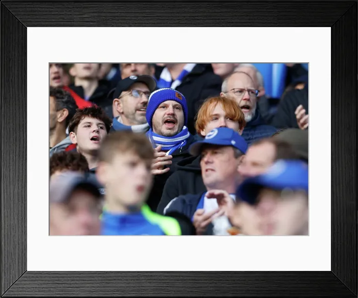 Framed Print : Brighton and Hove Albion v Leeds United Premier League 01NOV25 Framed Print : Brighton and Hove Albion v Leeds United Premier League 01NOV25