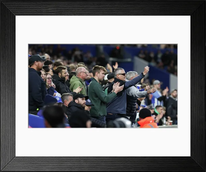 Framed Print : Brighton and Hove Albion v Leeds United Premier League 01NOV25 Framed Print : Brighton and Hove Albion v Leeds United Premier League 01NOV25