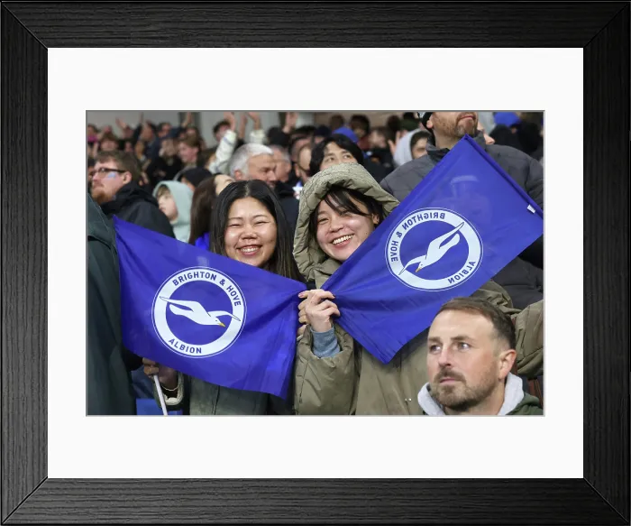 Framed Print : Brighton and Hove Albion v Leeds United Premier League 01NOV25 Framed Print : Brighton and Hove Albion v Leeds United Premier League 01NOV25