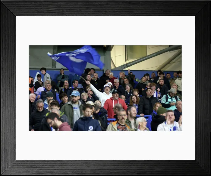 Framed Print : Brighton and Hove Albion v Leeds United Premier League 01NOV25