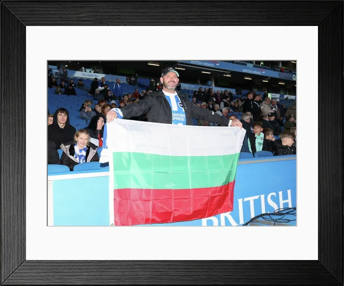 Framed Print : Brighton and Hove Albion v Leeds United Premier League 01NOV25
