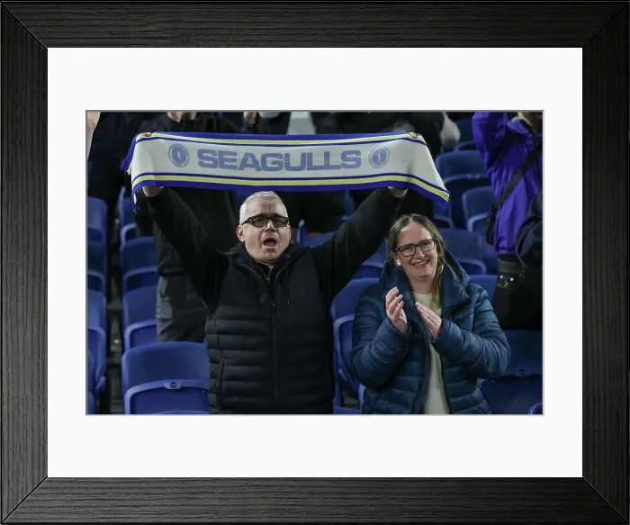 Framed Print : Brighton and Hove Albion v Leeds United Premier League 01NOV25 Framed Print : Brighton and Hove Albion v Leeds United Premier League 01NOV25