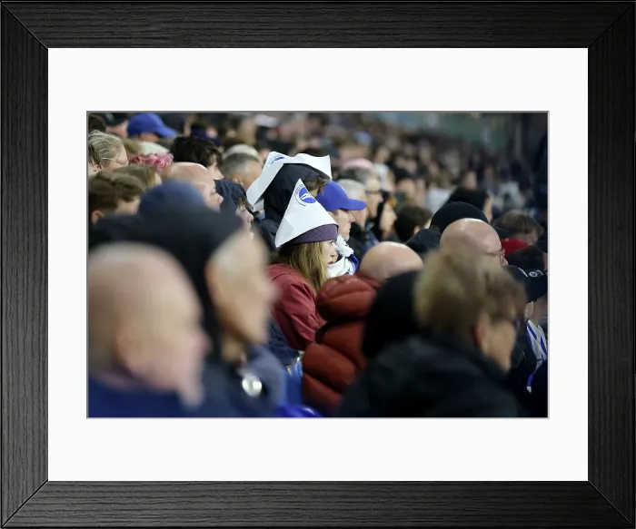 Framed Print : Brighton and Hove Albion v Leeds United Premier League 01NOV25 Framed Print : Brighton and Hove Albion v Leeds United Premier League 01NOV25
