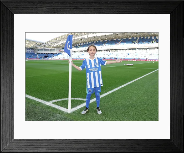 Framed Print : Brighton and Hove Albion v Leeds United Premier League 01NOV25