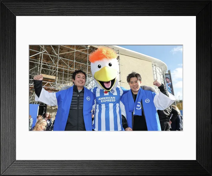 Framed Print : Brighton and Hove Albion v Leeds United Premier League 01NOV25 Framed Print : Brighton and Hove Albion v Leeds United Premier League 01NOV25