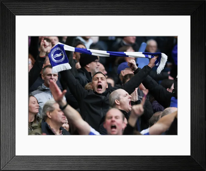 Framed Print : Brighton and Hove Albion v Leeds United Premier League 01NOV25 Framed Print : Brighton and Hove Albion v Leeds United Premier League 01NOV25