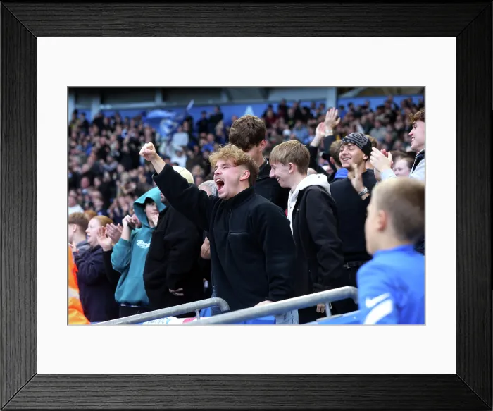Framed Print : Brighton and Hove Albion v Leeds United Premier League 01NOV25 Framed Print : Brighton and Hove Albion v Leeds United Premier League 01NOV25