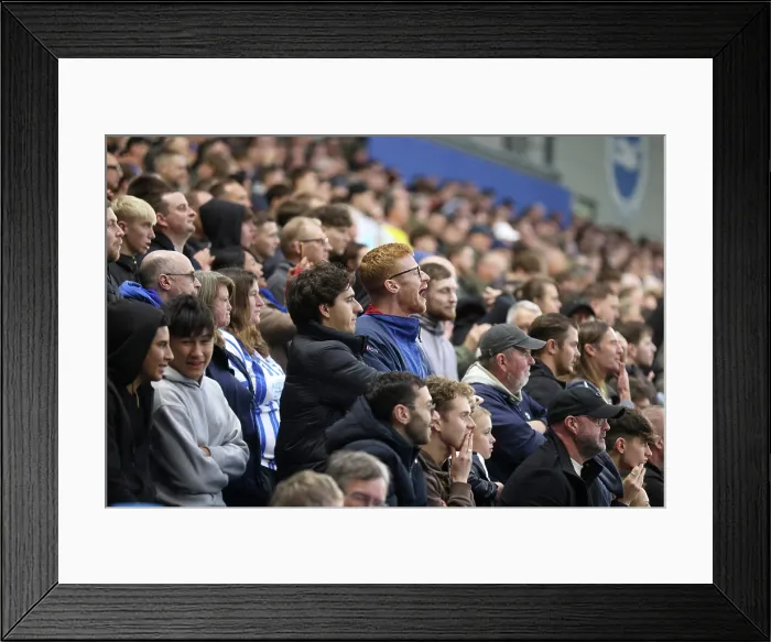 Framed Print : Brighton and Hove Albion v Leeds United Premier League 01NOV25 Framed Print : Brighton and Hove Albion v Leeds United Premier League 01NOV25