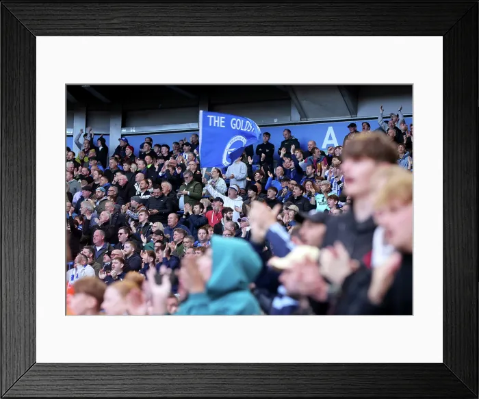 Framed Print : Brighton and Hove Albion v Leeds United Premier League 01NOV25 Framed Print : Brighton and Hove Albion v Leeds United Premier League 01NOV25