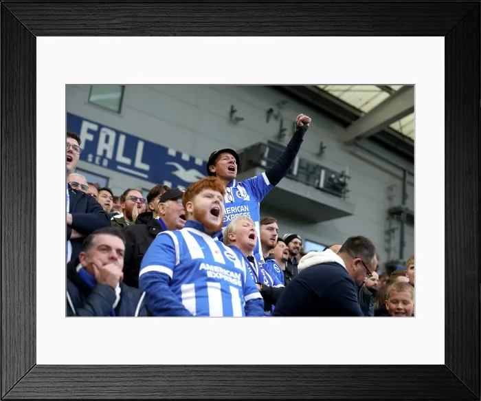 Framed Print : Brighton and Hove Albion v Leeds United Premier League 01NOV25 Framed Print : Brighton and Hove Albion v Leeds United Premier League 01NOV25