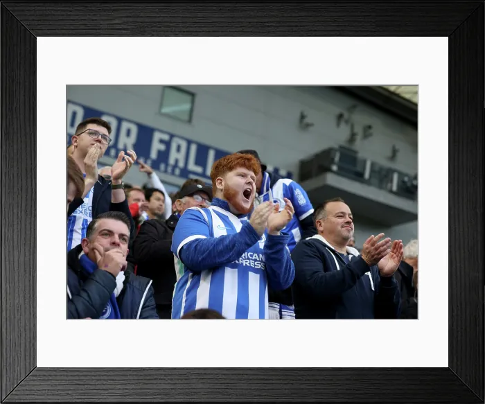 Framed Print : Brighton and Hove Albion v Leeds United Premier League 01NOV25