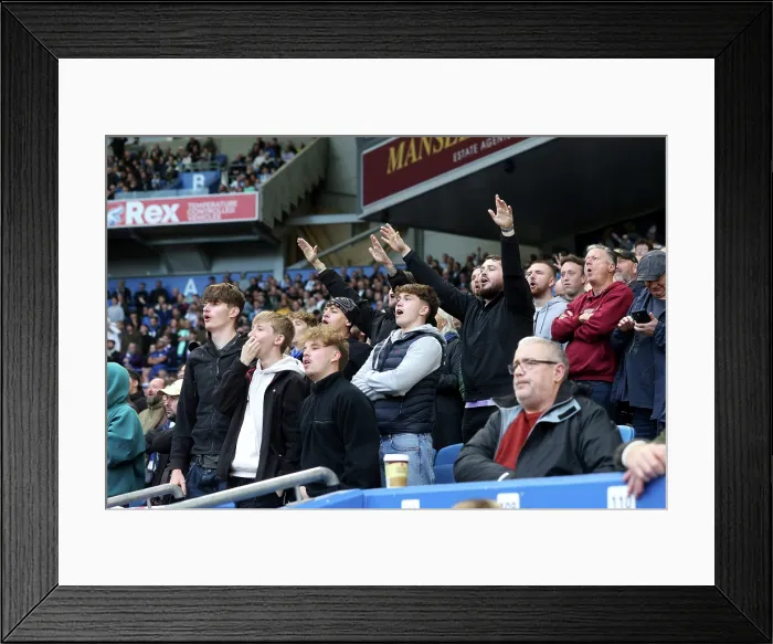 Framed Print : Brighton and Hove Albion v Leeds United Premier League 01NOV25 Framed Print : Brighton and Hove Albion v Leeds United Premier League 01NOV25