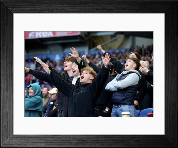 Framed Print : Brighton and Hove Albion v Leeds United Premier League 01NOV25 Framed Print : Brighton and Hove Albion v Leeds United Premier League 01NOV25