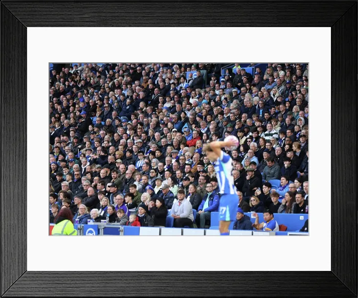 Framed Print : Brighton and Hove Albion v Leeds United Premier League 01NOV25