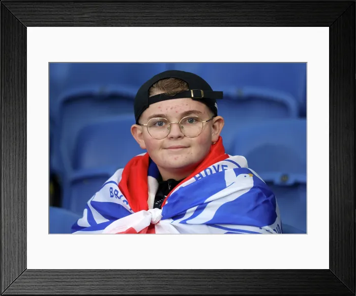 Framed Print : Brighton and Hove Albion v Leeds United Premier League 01NOV25