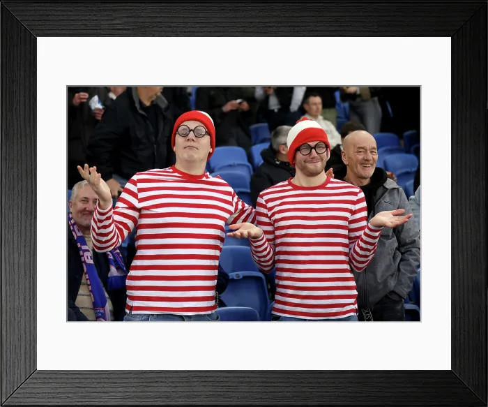 Framed Print : Brighton and Hove Albion v Leeds United Premier League 01NOV25