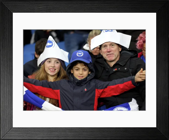 Framed Print : Brighton and Hove Albion v Leeds United Premier League 01NOV25