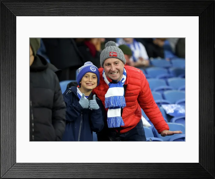 Framed Print : Brighton and Hove Albion v Leeds United Premier League 01NOV25