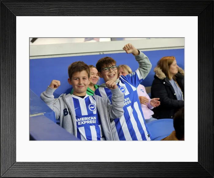 Framed Print : Brighton and Hove Albion v Leeds United Premier League 01NOV25