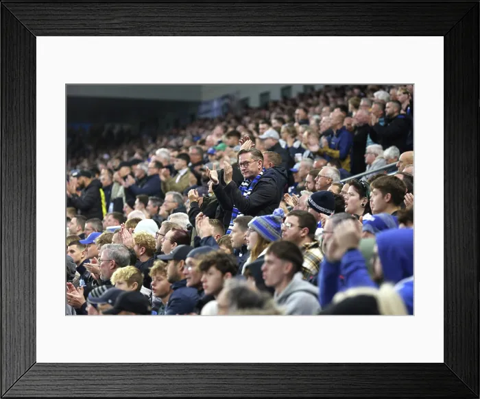Framed Print : Brighton and Hove Albion v Leeds United Premier League 01NOV25